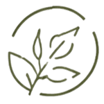 Leaves within a circle - an icon